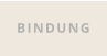 BINDUNG